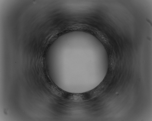 X0000093210758200709261425