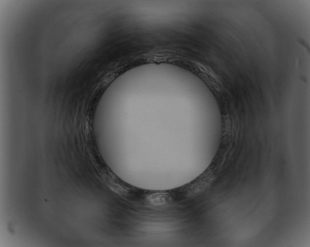 X0000093210761200709261425