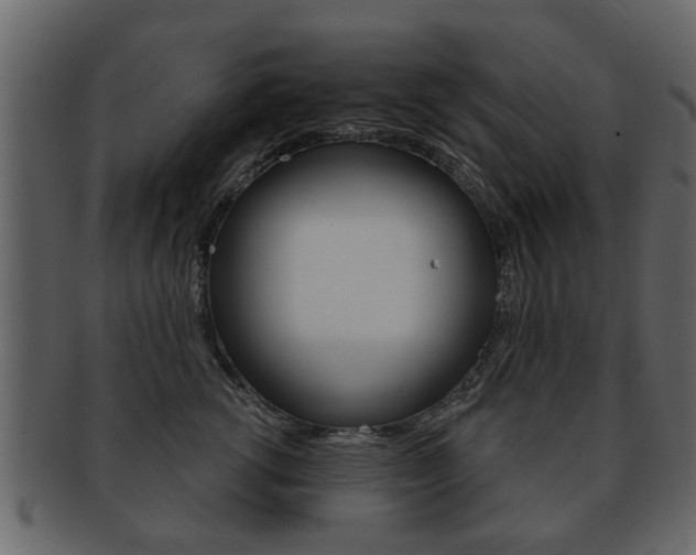 X0000093210762200709261425