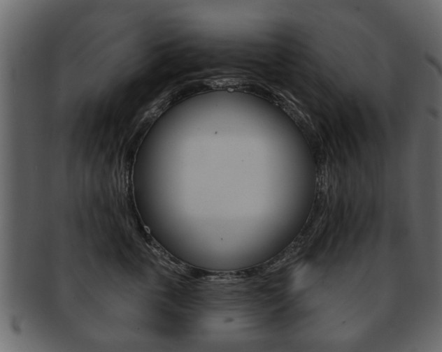 X0000093210763200709261425