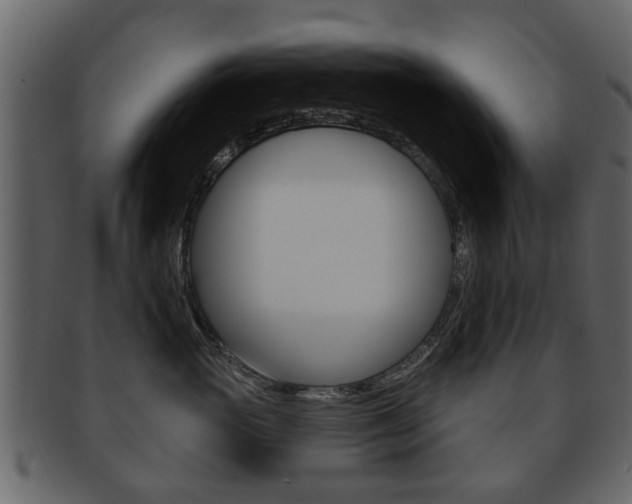X0000093210765200709261425