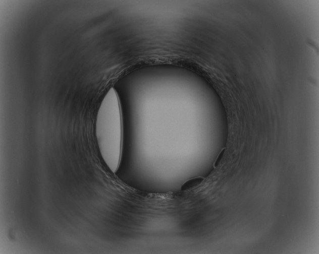 X0000093210768200709261425