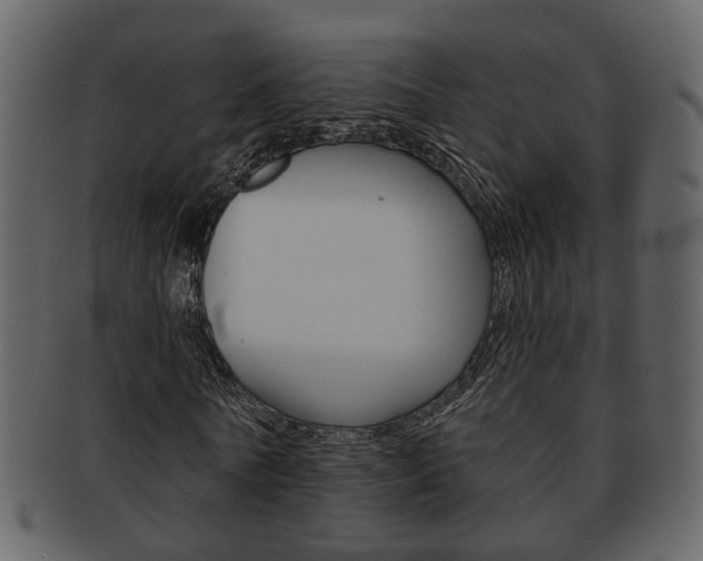 X0000093210770200709261424