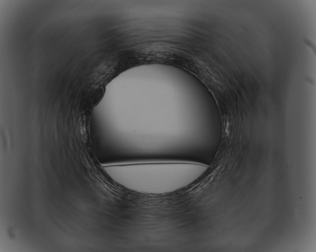 X0000093210771200709261424