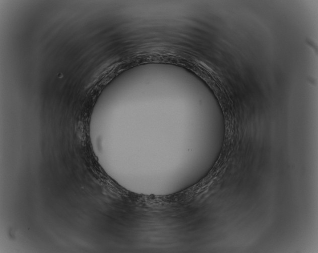 X0000093210774200709261424