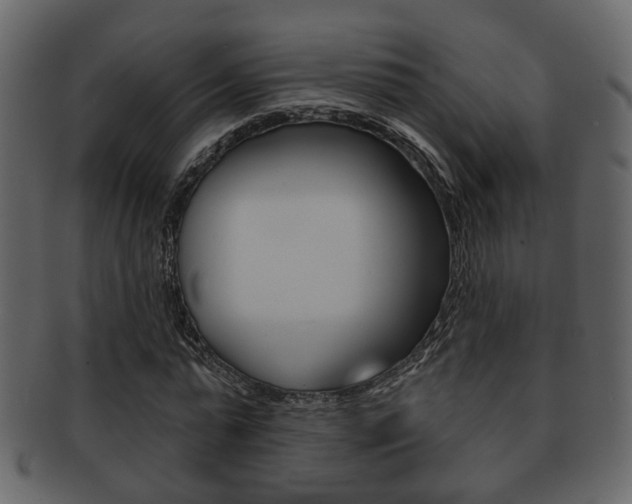 X0000093210775200709261424