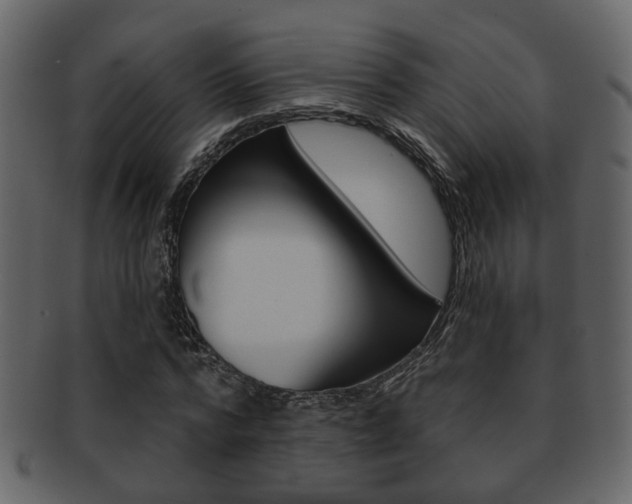 X0000093210776200709261424