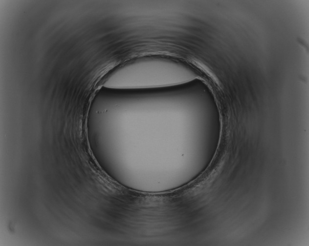 X0000093210777200709261424
