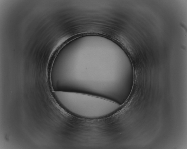 X0000093210780200709261424