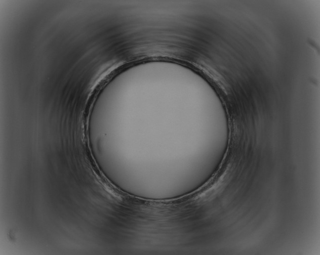 X0000093210782200709261424