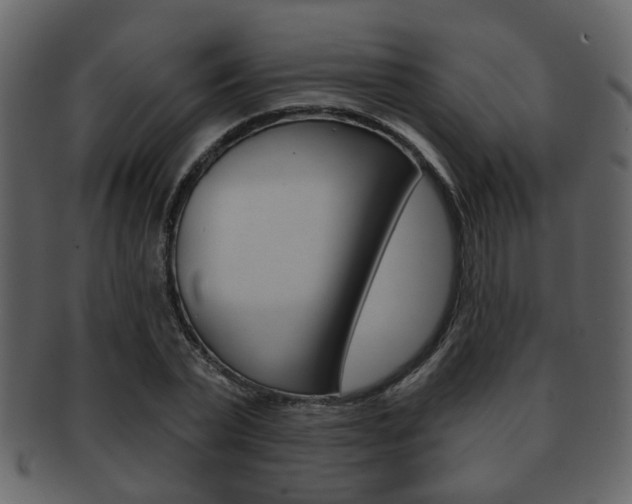 X0000093210783200709261424