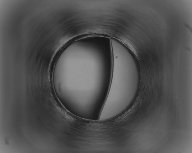 X0000093210784200709261424
