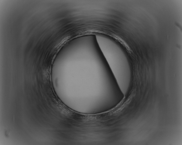 X0000093210785200709261424
