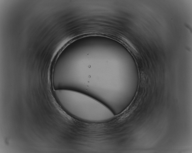 X0000093210788200709261424