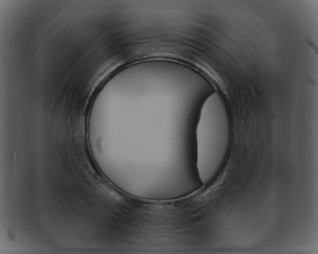 X0000093210790200709261424