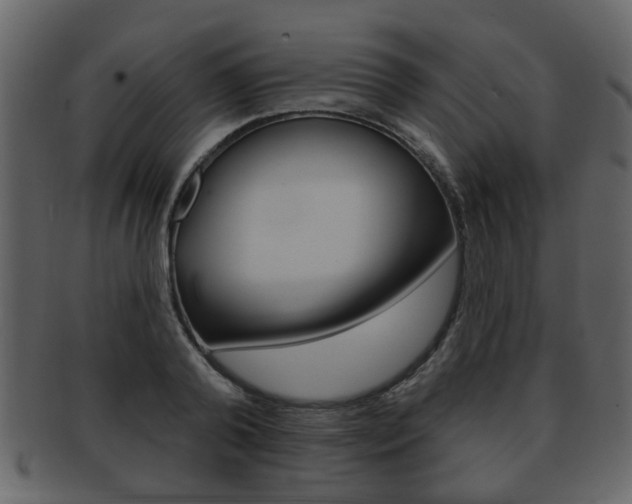X0000093210792200709261424