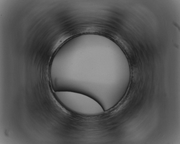 X0000093210794200709261424