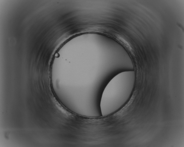 X0000093210800200709261424