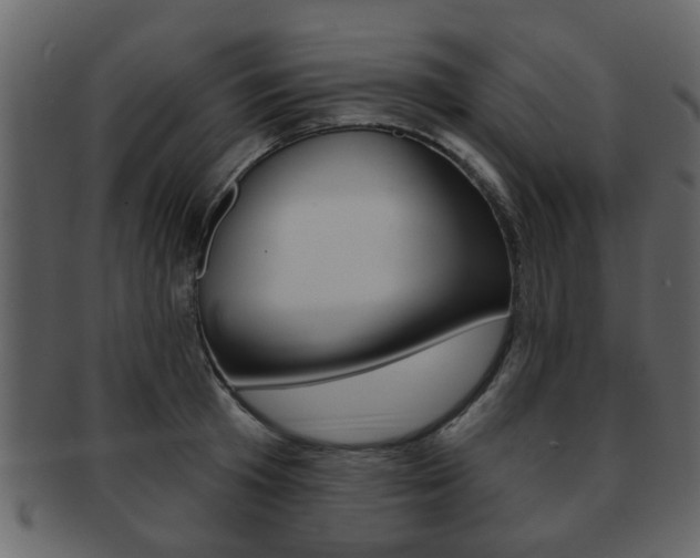 X0000093210801200709261424