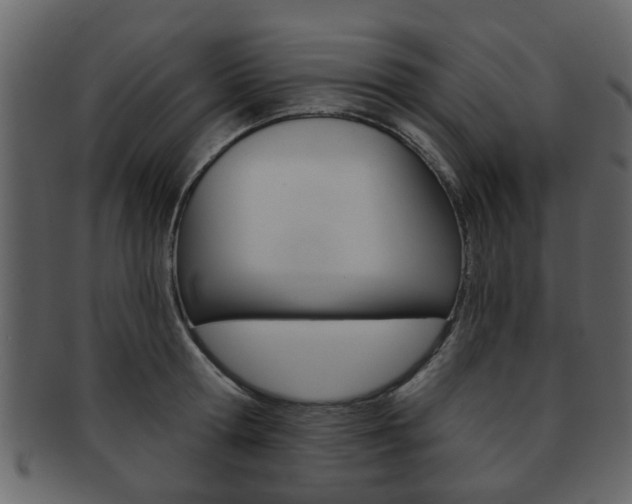 X0000093210802200709261424