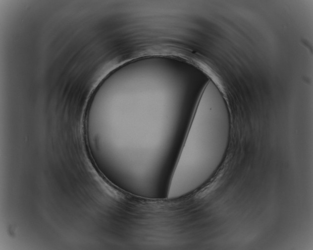 X0000093210803200709261424