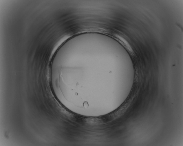 X0000093210804200709261424