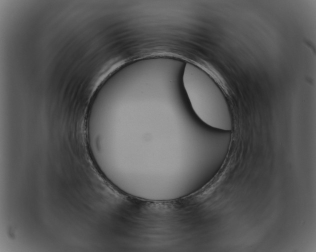 X0000093210806200709261424