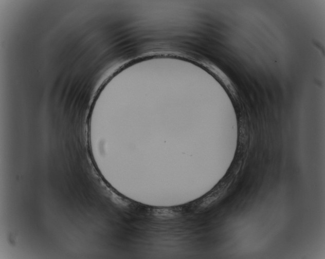 X0000093210807200709261424