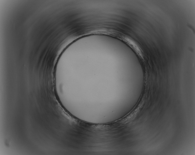 X0000093210808200709261424