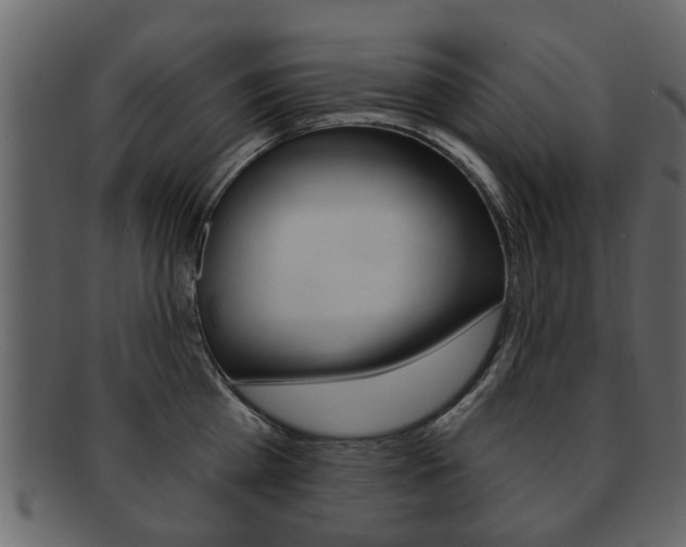 X0000093210809200709261424