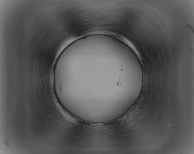 X0000093210811200709261424
