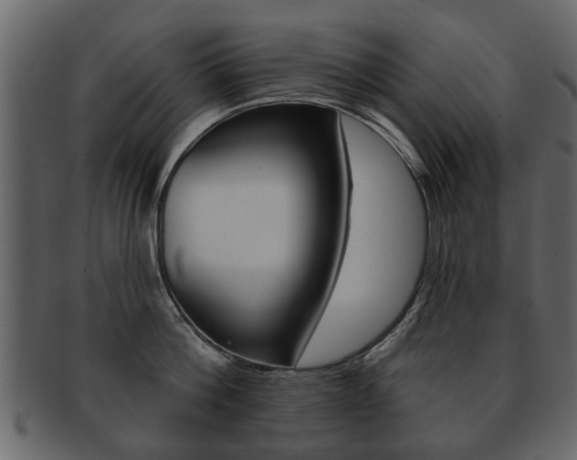 X0000093210812200709261424