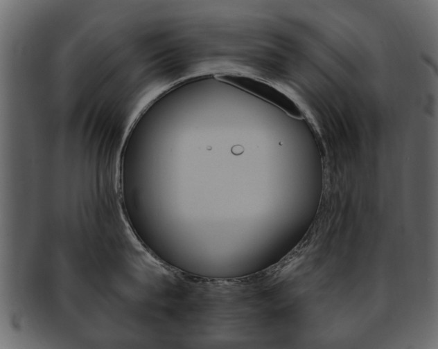 X0000093210815200709261424