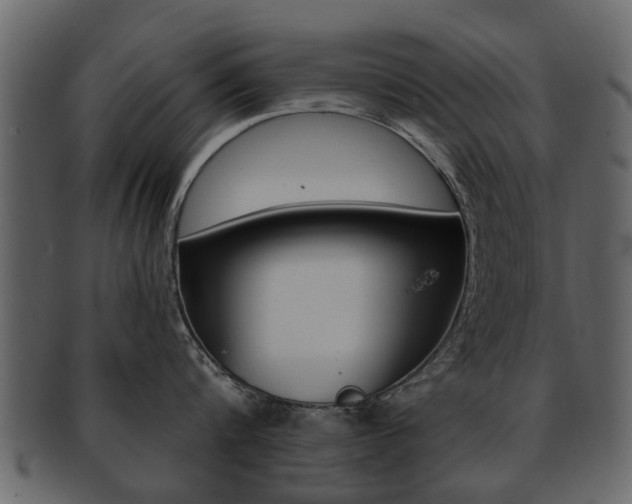 X0000093210816200709261424