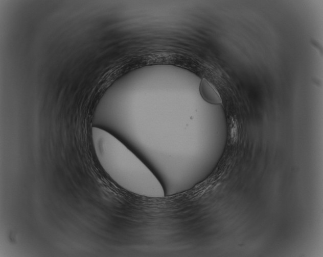 X0000093210819200709261423