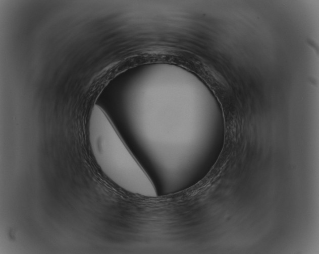 X0000093210821200709261423