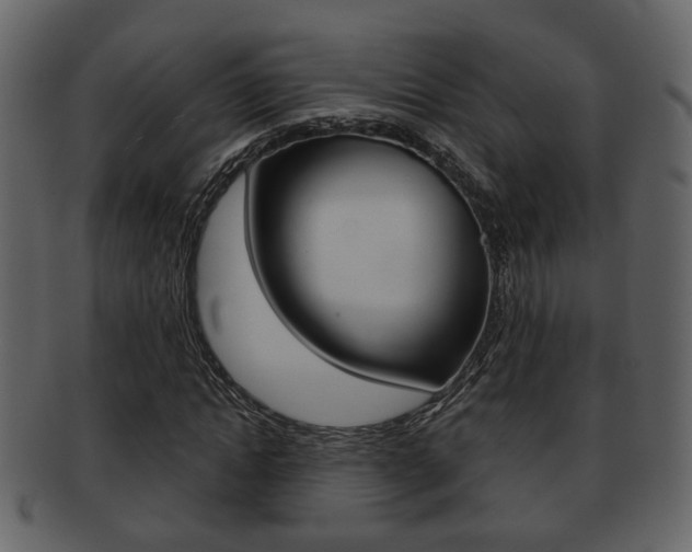 X0000093210822200709261423