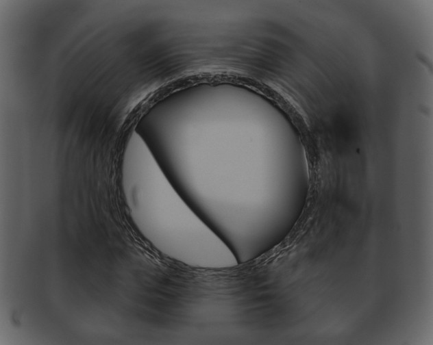X0000093210823200709261423