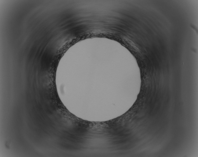 X0000093210824200709261423