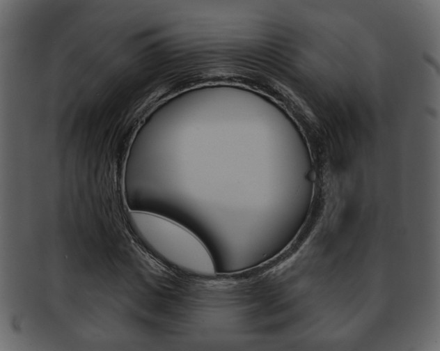 X0000093210825200709261423