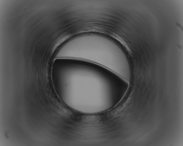 X0000093210826200709261423