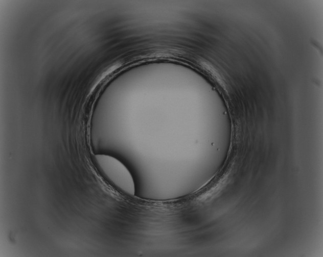 X0000093210827200709261423