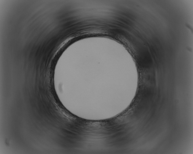 X0000093210828200709261423