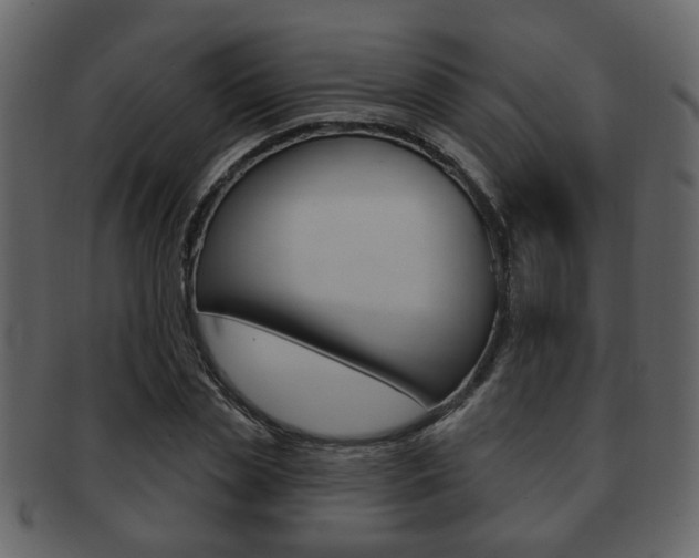 X0000093210829200709261423