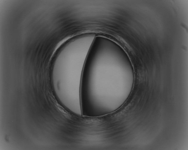 X0000093210830200709261423