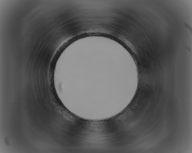 X0000093210832200709261423