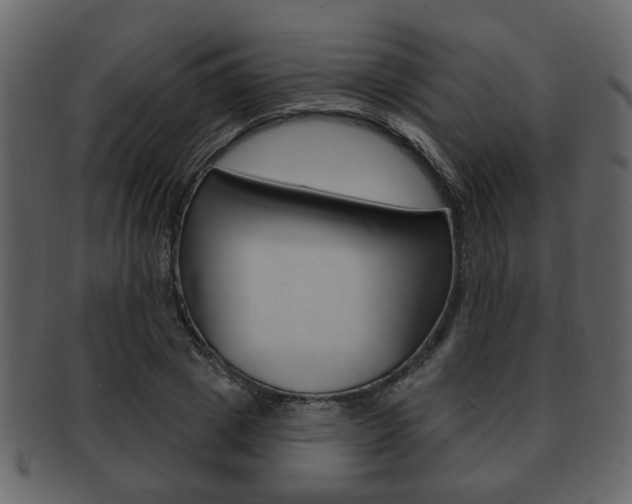 X0000093210833200709261423