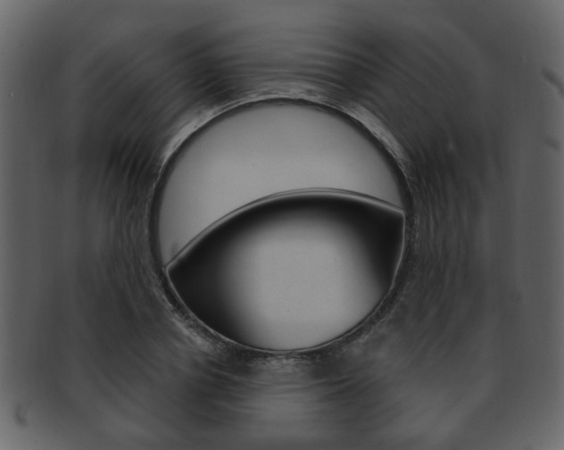 X0000093210834200709261423