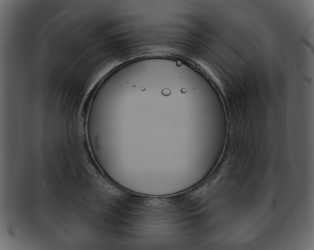 X0000093210835200709261423
