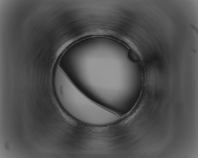 X0000093210837200709261423